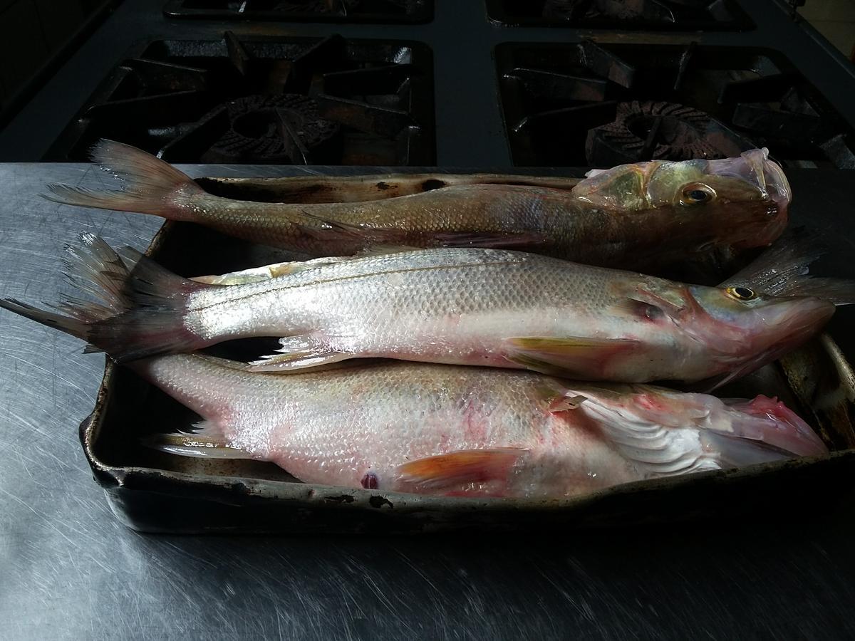 Pousada Chef Brasil Barra Velha  Eksteriør bilde