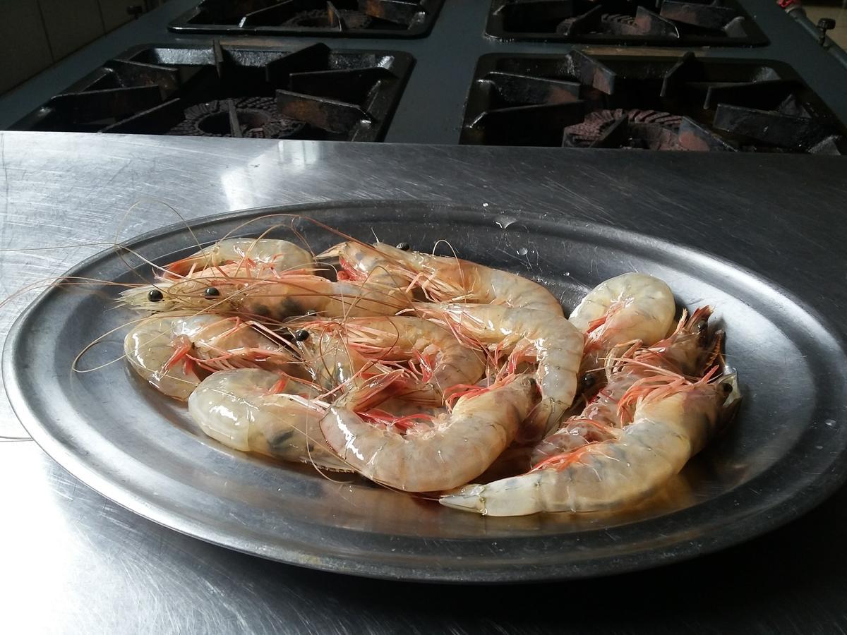 Pousada Chef Brasil Barra Velha  Eksteriør bilde