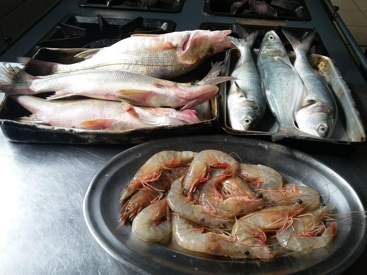 Pousada Chef Brasil Barra Velha  Eksteriør bilde